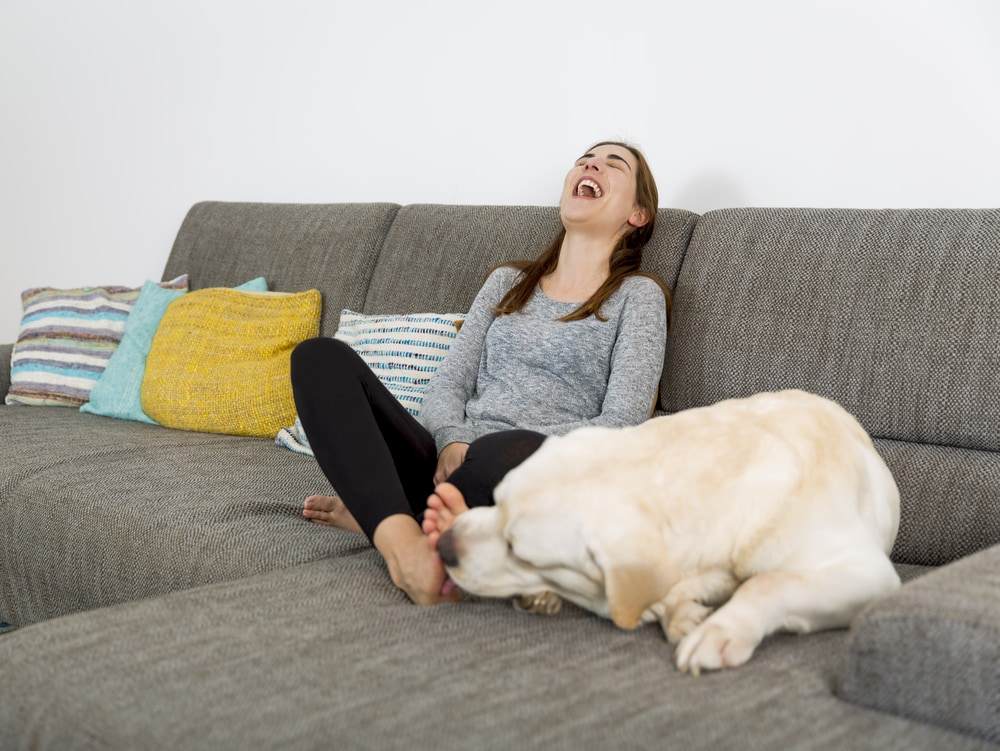 Why Does My Dog Lick My Feet Inspire Dogs