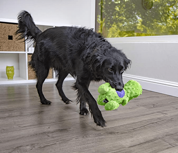 12 Most Durable Chew Toys for Labrador Dogs Inspire Dogs